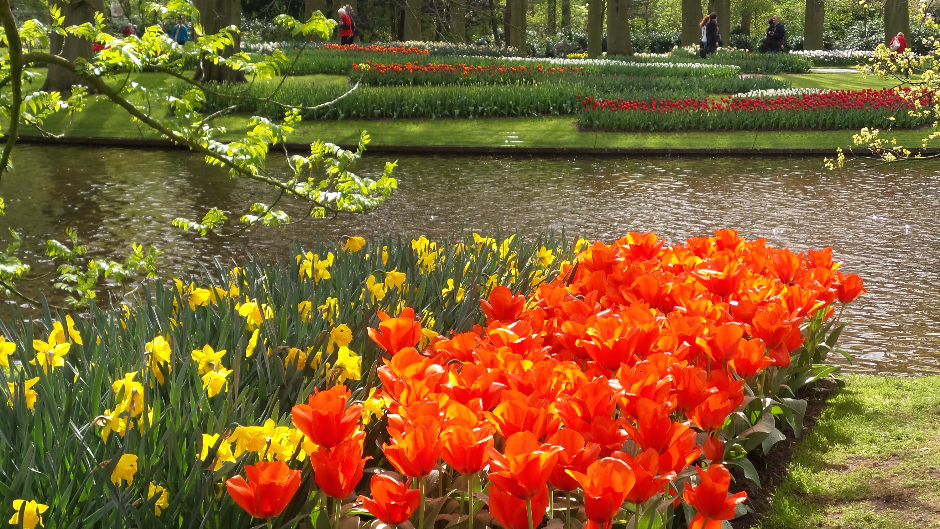 2014-04-17 Holland Tulips 45.jpg